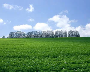 1024蓝天白云 第四辑_4