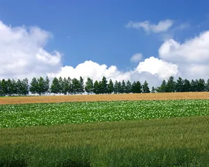 1024蓝天白云 第四辑_10
