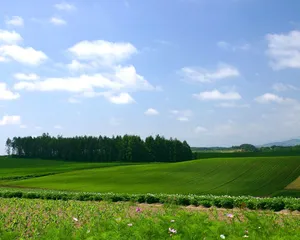 1024蓝天白云 第四辑_18