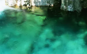 溪流特写 第一辑_11