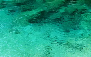溪流特写 第一辑_12