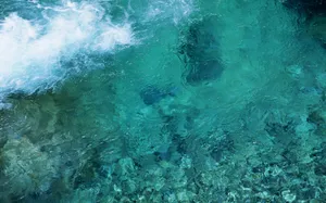 溪流特写 第一辑_13
