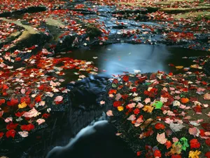 瀑布溪流 第六辑_9
