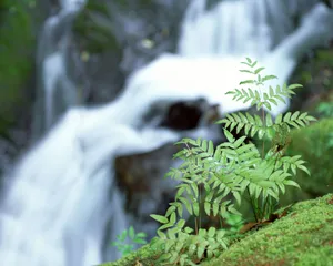 瀑布溪流 第一辑_8