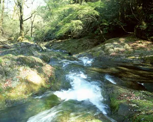瀑布溪流 第一辑_16