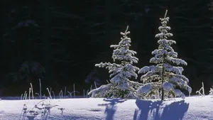 1080p雪景 第二辑_12