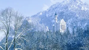 1080p雪景 第一辑_18