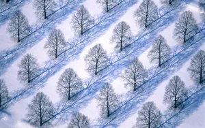 宽屏雪景 第二辑_3