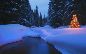 宽屏雪景 第二辑_5