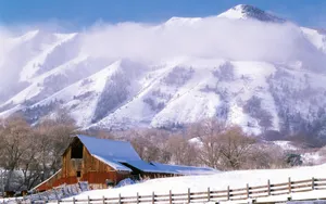 宽屏雪景 第二辑_8