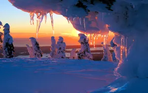 宽屏雪景 第二辑_13