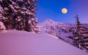 宽屏雪景 第二辑_14