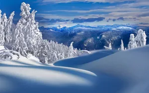 宽屏雪景 第二辑_19