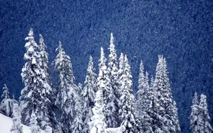 宽屏雪景 第一辑_6