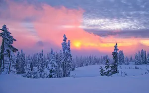 宽屏雪景 第一辑_10