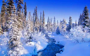 宽屏雪景 第一辑_15