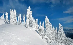宽屏雪景 第一辑_16