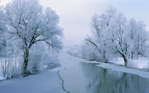 宽屏雪景 第一辑_19