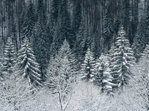 雪山雪景合集 第四辑_1