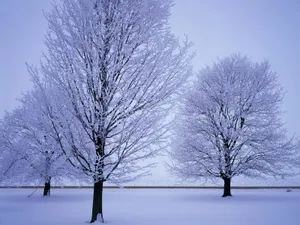 雪山雪景合集 第四辑_2