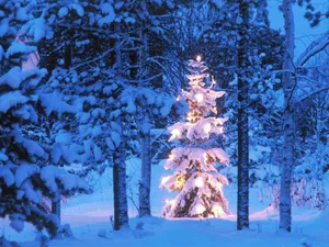 雪山雪景合集 第四辑_4