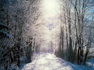 雪山雪景合集 第四辑_8