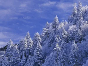 雪山雪景合集 第三辑_6