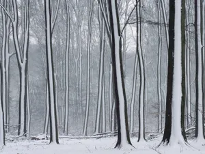 雪山雪景合集 第三辑_11