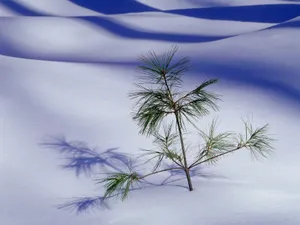 雪山雪景合集 第二辑_7