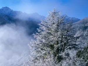 雪山雪景合集 第一辑_3