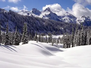 雪景 第二辑_2