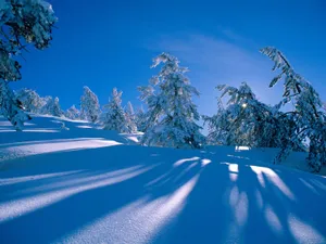 雪景 第二辑_6