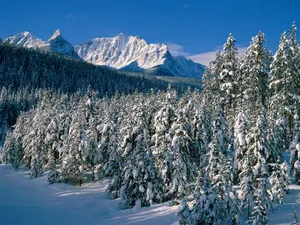 雪景 第二辑_7