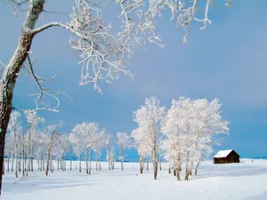 雪景 第二辑_10