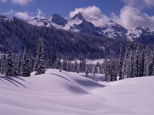 雪景 第二辑_15