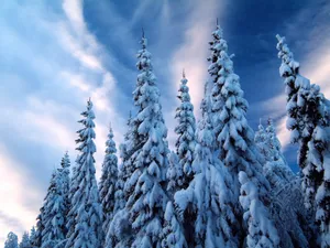 雪景 第一辑