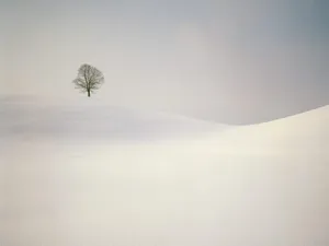 雪景 第一辑_3