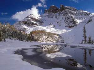 雪景 第一辑_4