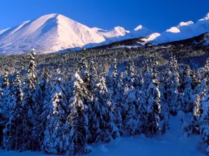 雪景 第一辑_8