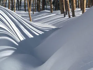 雪景 第一辑_10