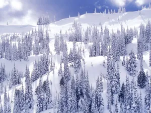 雪景 第一辑_15