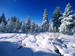 雪景 第一辑_16