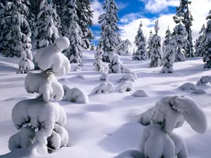 雪景 第一辑_17