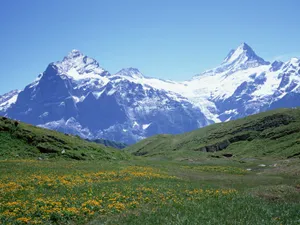 雪山 第三辑_15