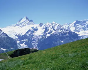 雪山 第二辑_11