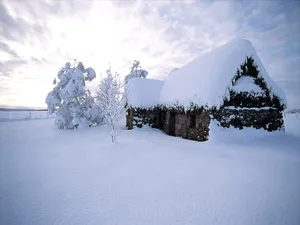 雪中写真 第二辑_6