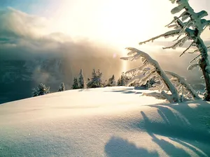 雪中写真 第二辑_15