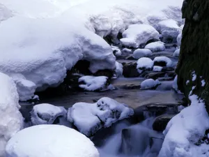雪中写真 第一辑_4