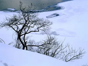 雪中写真 第一辑_5
