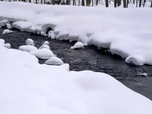 雪中写真 第一辑_7